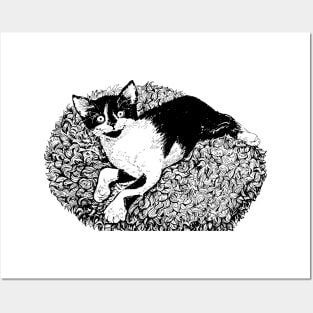 Tuxedo kitten ink drawing Posters and Art